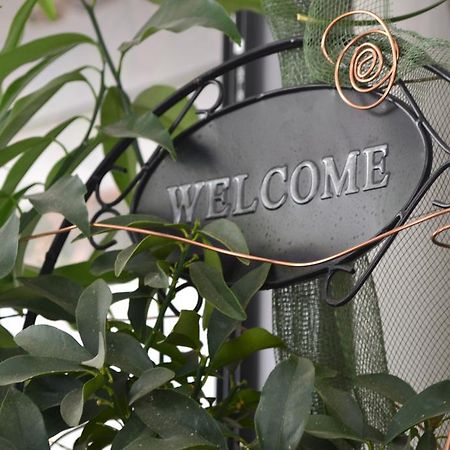 Hotel Alfredo'S Rimini Ngoại thất bức ảnh