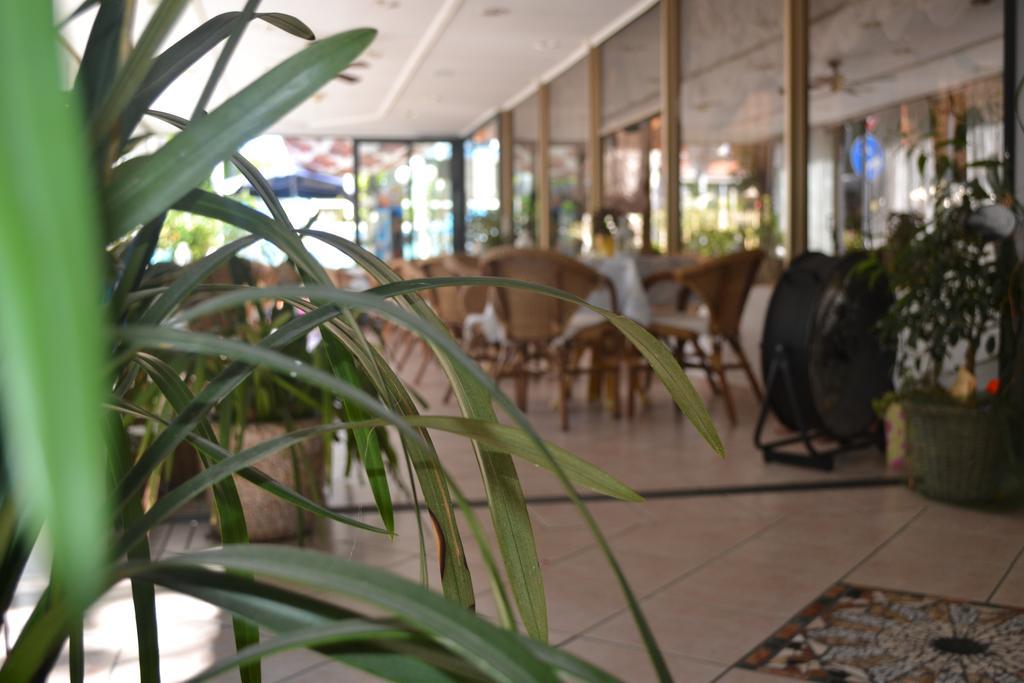 Hotel Alfredo'S Rimini Ngoại thất bức ảnh